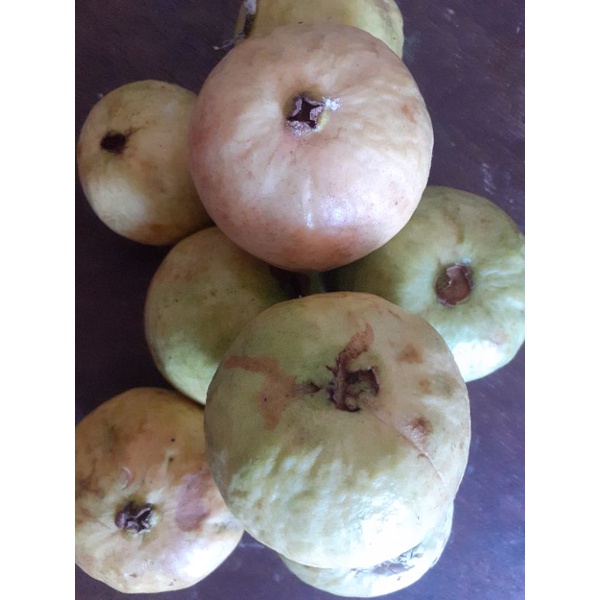 

JAMBU BIJI MERAH FRESH