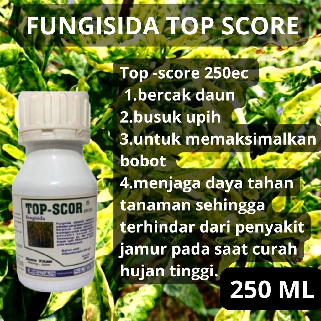 TOP SCORE 250EC 250ml FUNGISIDA SISTEMIK difenokonazol 250 sekor