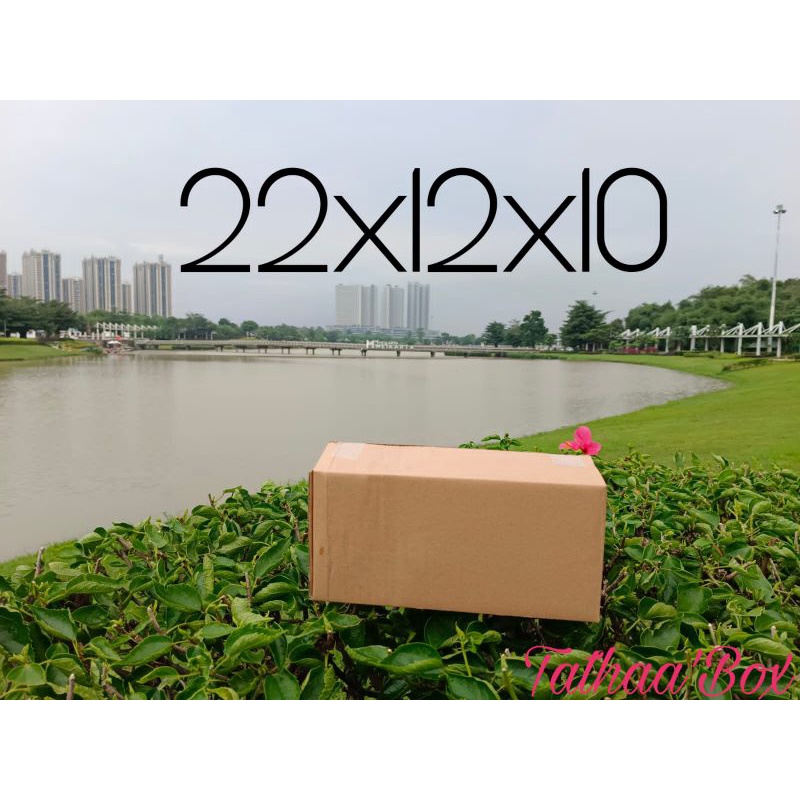

kardus packing uk 22×12×10