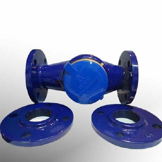 Meteran Air Amico Flange 2"(Inch) Water Meter / Flow Meter Amico