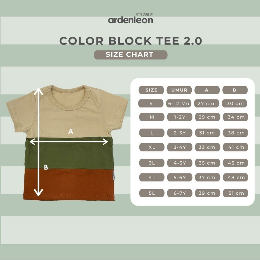 Ardenleon Color Block Tee 6M - 7Y Kaos Stripe Mix Color Anak Unisex CBKS
