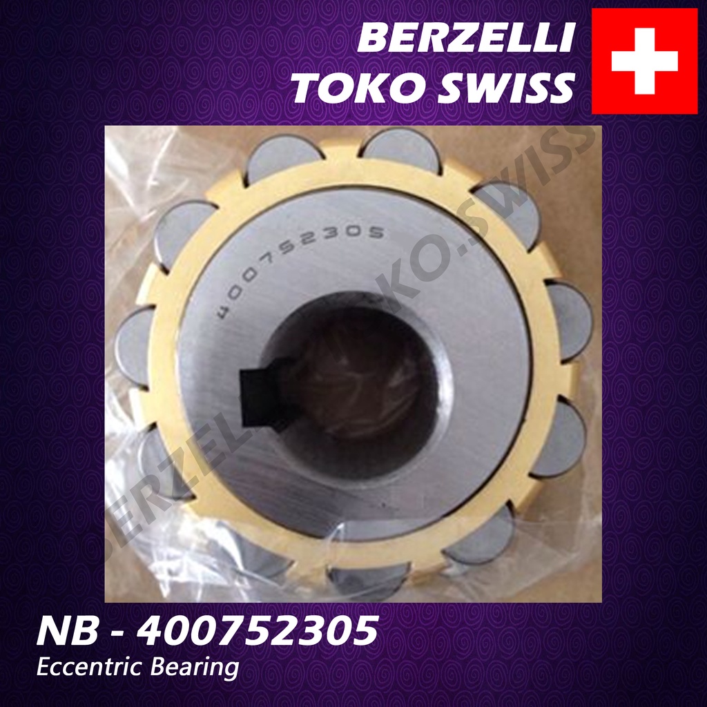 NB – 400752305 ECCENTRIC BEARING