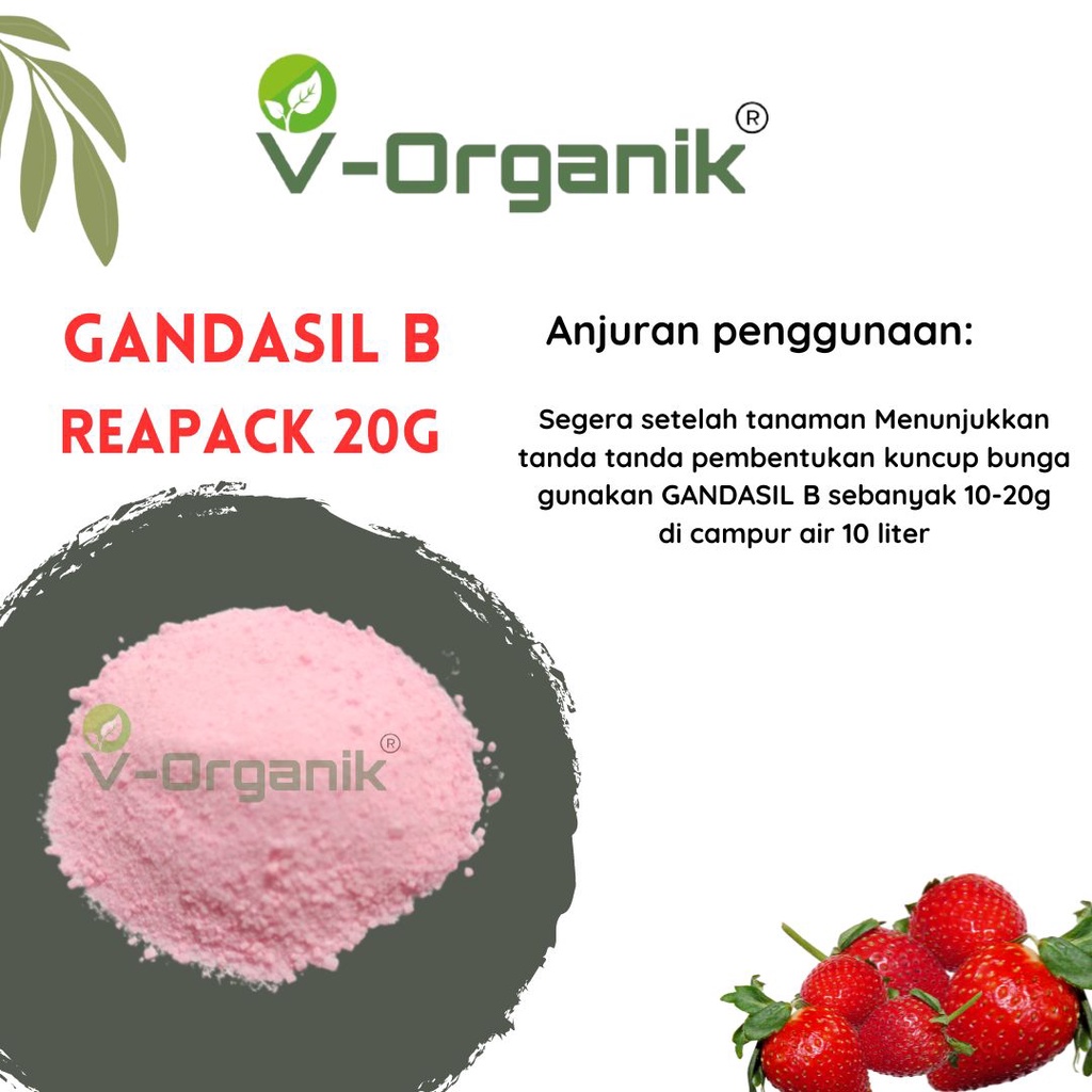 PUPUK BUAH DAN BUNGA GANDASIL B REAPACK 20G