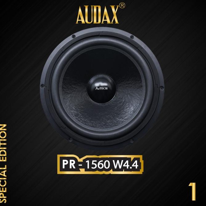 Audax - Speaker Pasif 15" Pro Tech PR-1560 W4.4 Woofer (KODE Z23)