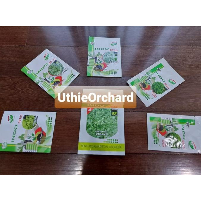 Benih Indo Seed Enza Zaden - Selada Batavia Caipira Kemasan Asli 1 gr