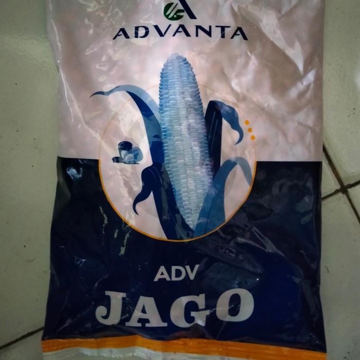 benih jagung advanta jago 1 kg