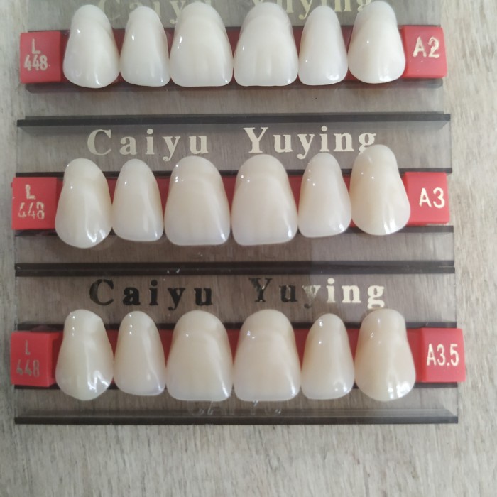 Gigi palsu CAIYU box isi 16 depan / anterior atas / bawah