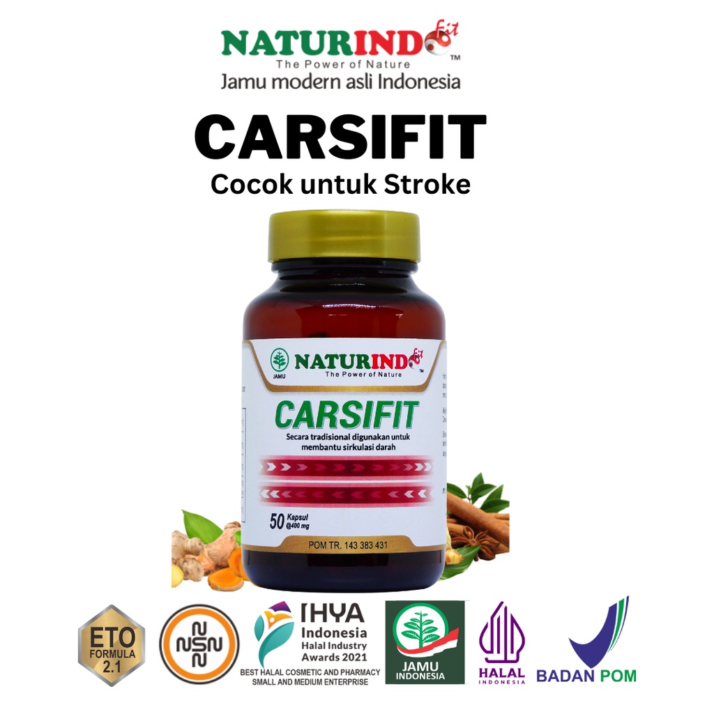 Obat Herbal Stroke, Stroke Ringan, Stroke Berat, Stroke Menahun