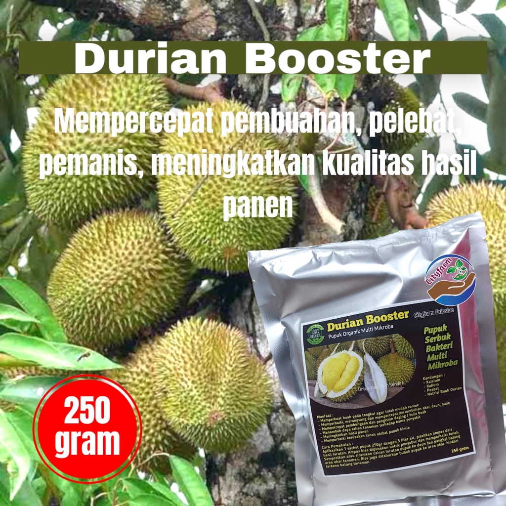 Pupuk Organik Booster Durian Kualitas Super Pelebat Durian 250gr