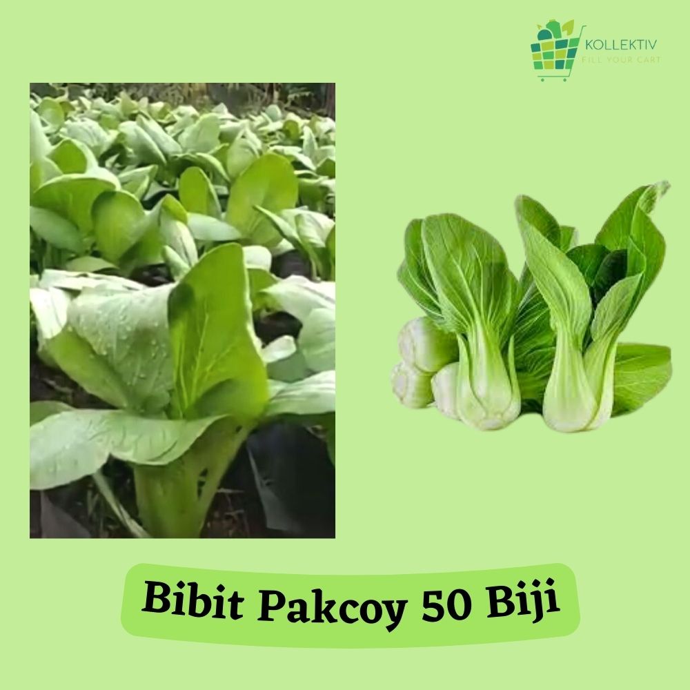 Bibit Pakcoy / Benih Sayuran