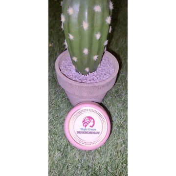 ines skincare glow night cream