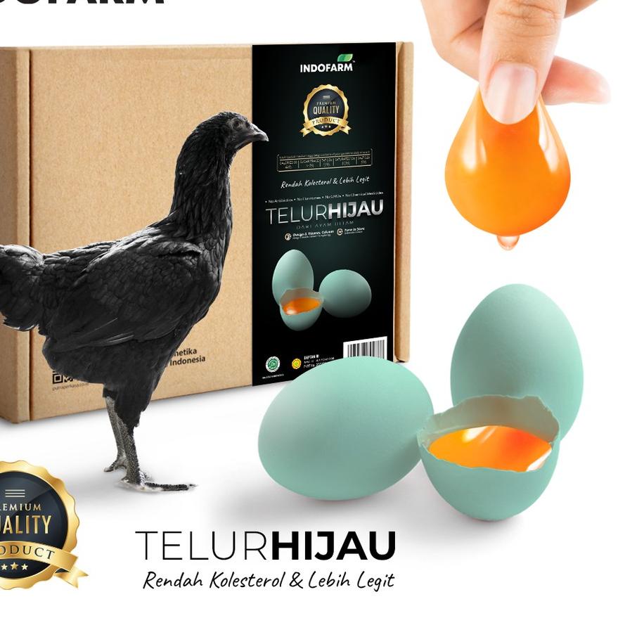 

✯ Indofarm Telur Hijau dari Ayam Hitam Rendah Kolesterol Isi 20 Butir ☆