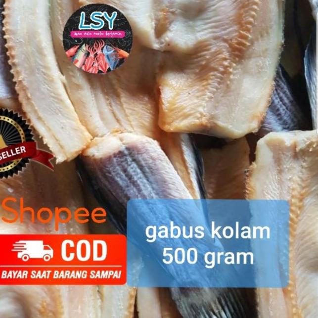 

➣ ikan asin gabus kolam size besar 500gr ✫
