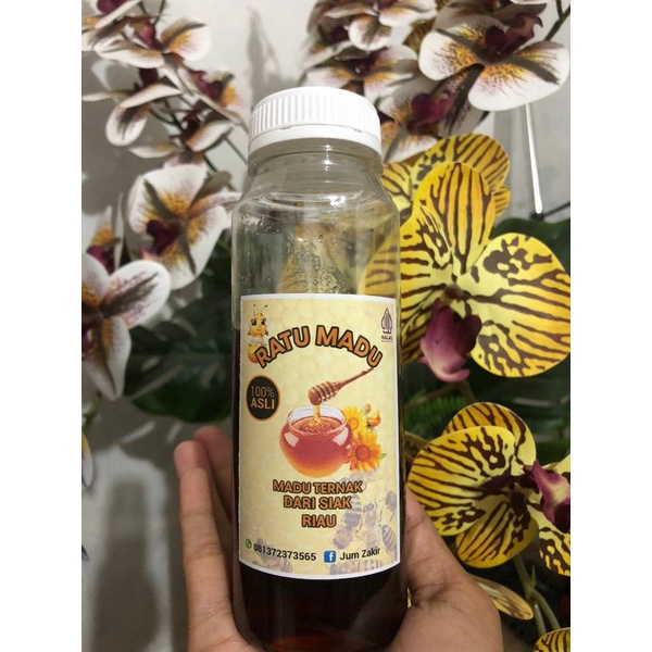 

Madu Murni