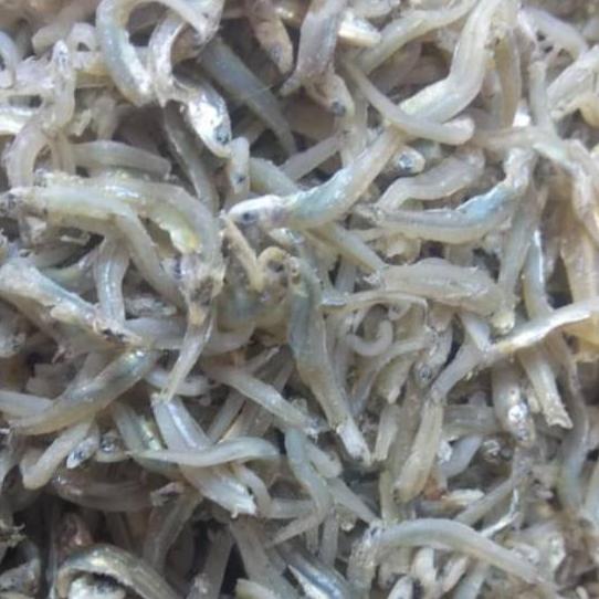 

☼ Teri buntiau tauge Medan ,berat 500 gram ✩