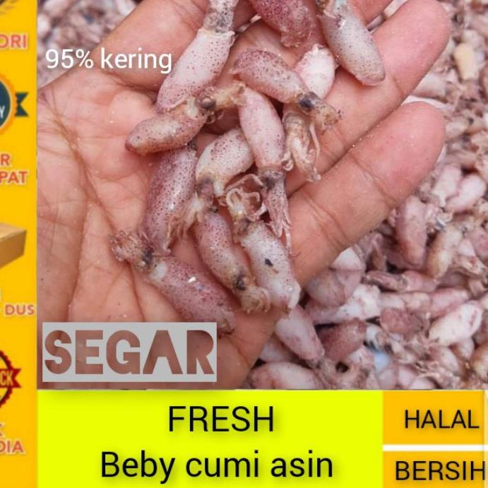 

➵ Cumi beby 0,5cm - 2cm / Baby cumi asin 1kg/ Bahan sambal cumi ♬