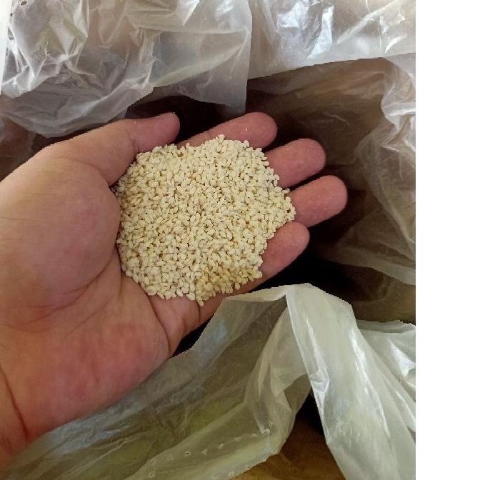 

➴ Wijen Import 1 Kg Kilogram Premium Quality 100% Fresh Dan Putih ♗