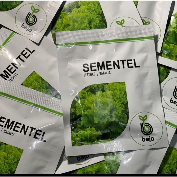 Benih Bejo Bibit Selada SEMENTEL Pack 1000 Biji Pill Import Hidroponik