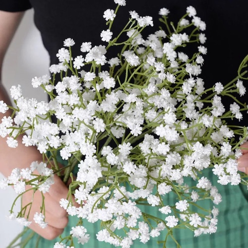 PAKET HEMAT - Benih Bunga Baby's Breath All Varian Flower Seeds - Total 60 Biji - Gypsophila Merah Putih Pink Bunga Potong Cantik