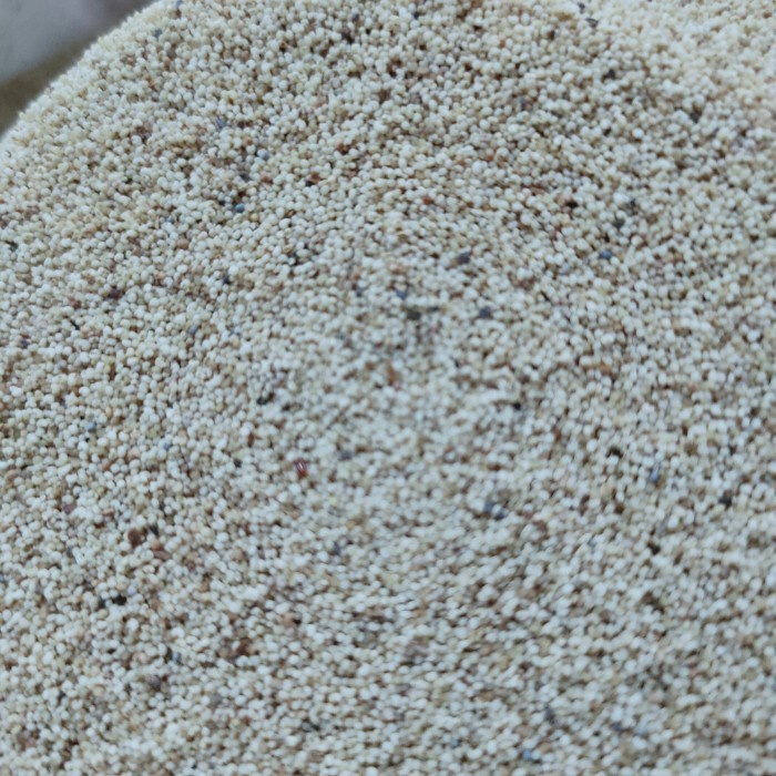 

KASKAS /KOCA KACI /POPPY SEED 750 GRAM MANJUR