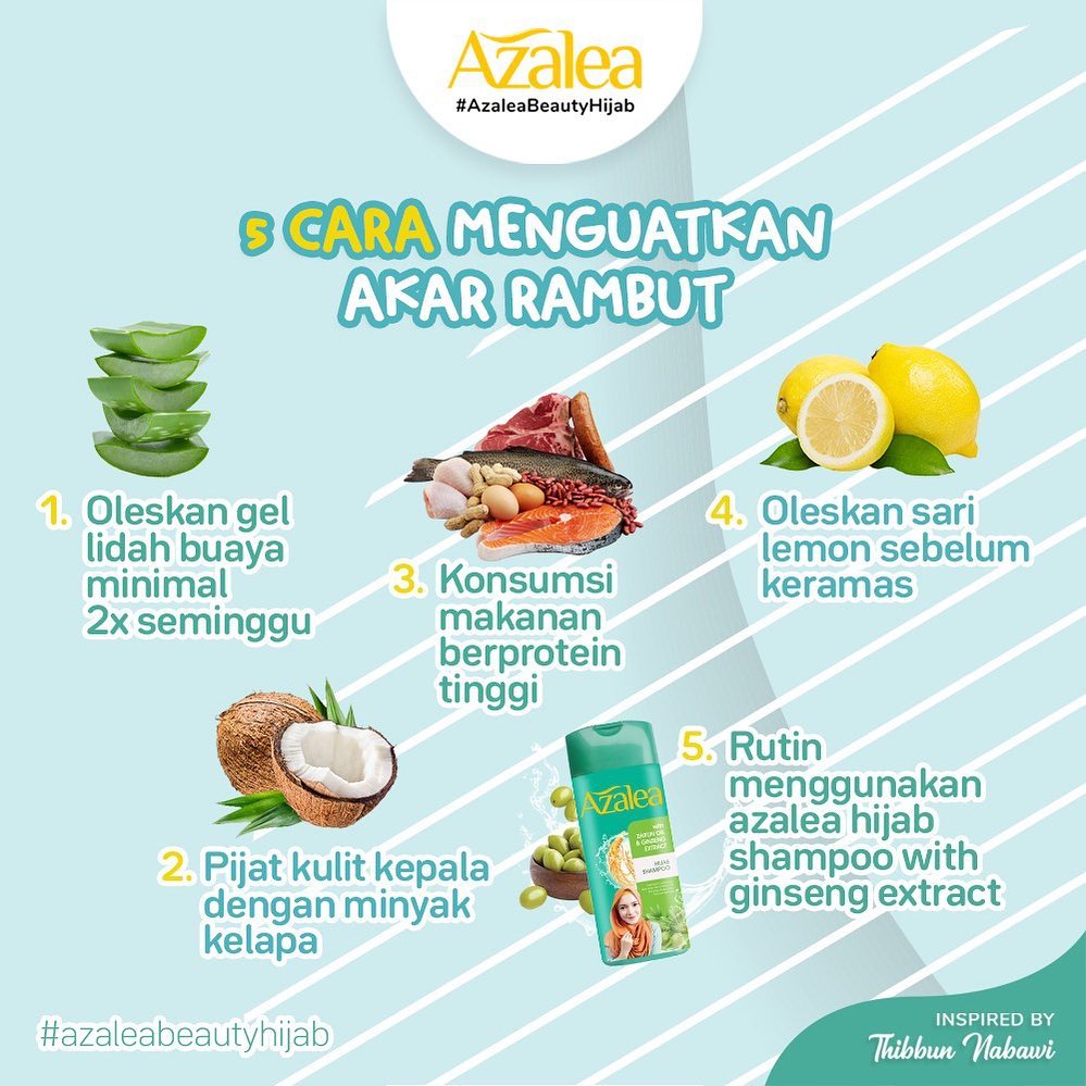 Azalea Shampoo Citrus Extract - Zaitun Oil &amp; Habbatussaudah Oil - Zaitun Oil &amp; Ginseng Extract 180 ML