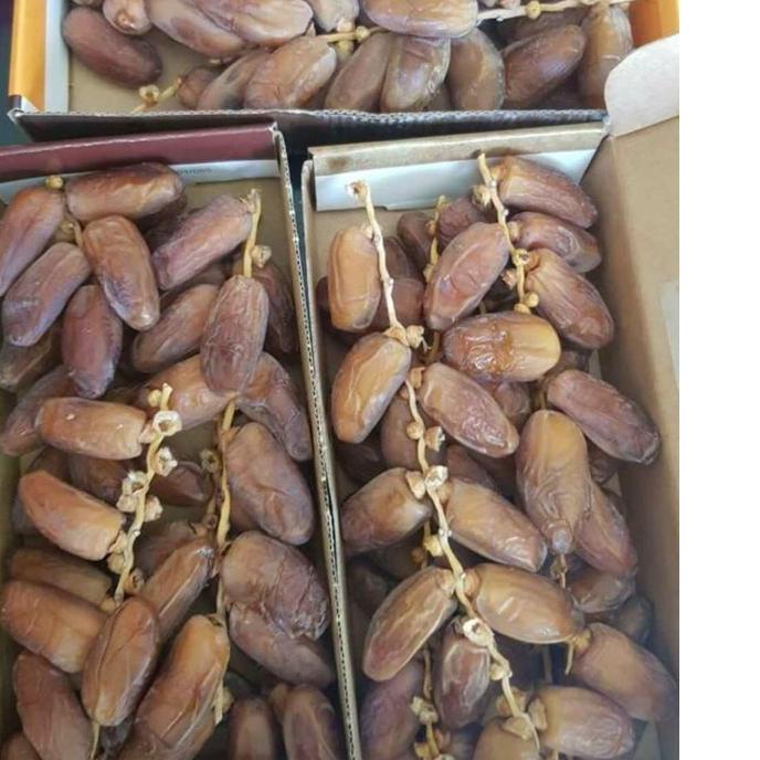 

✨Promo✨ Hari Ini KURMA TANGKAI EL RIAD DATES 500gr/ TUNISIA TANGKAI grosir