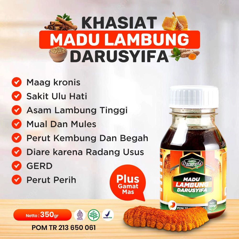 Madu Lambung Darusyifa Obat Asam Lambung Maag Kronis