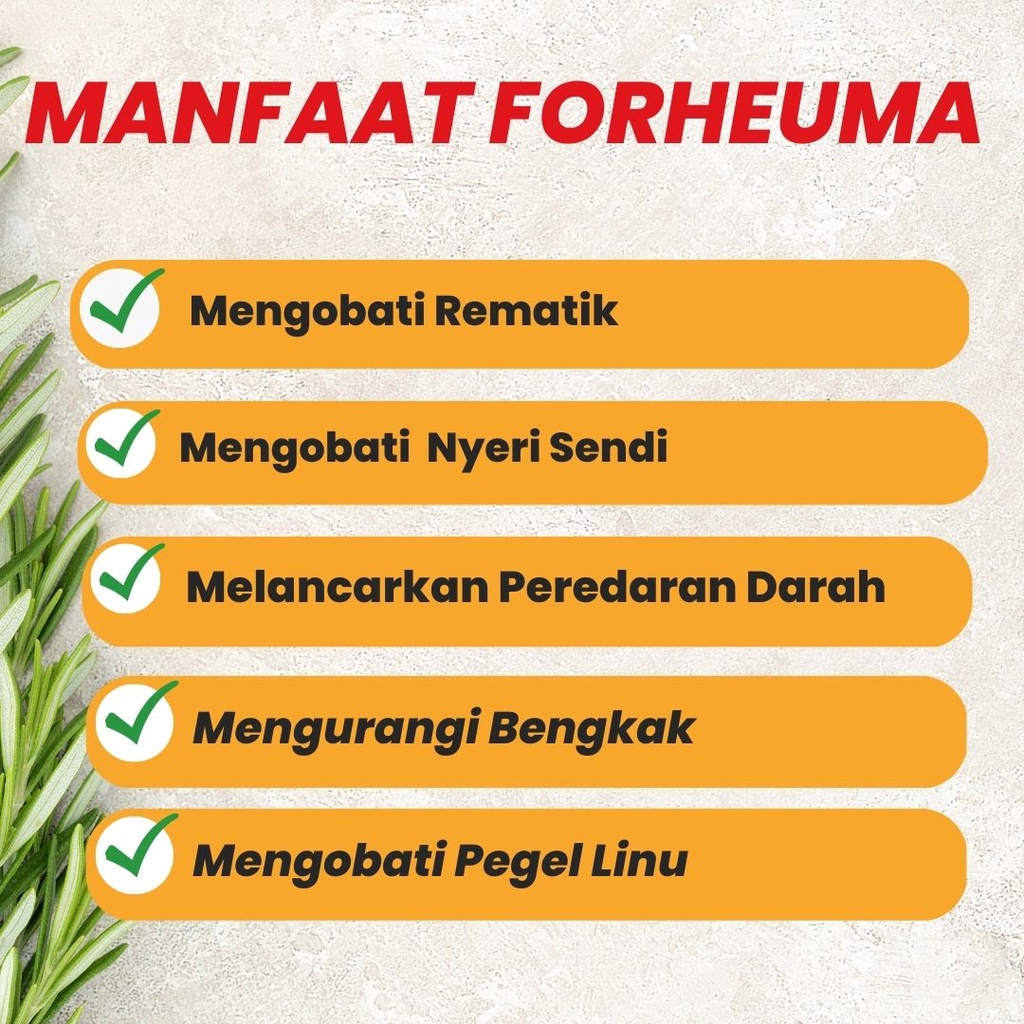 Obat rematik nyeri sendi tulang dan sendi asam urat radang nyeri sendi lutut pegel linu nyeri otot pengapuran tulang paling ampuh herbal reumatik lutut bengkak Forheuma