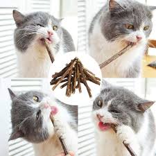 Catnip STICK Snack Kucing - Catnip Murni Natural - Cat Pet Toys