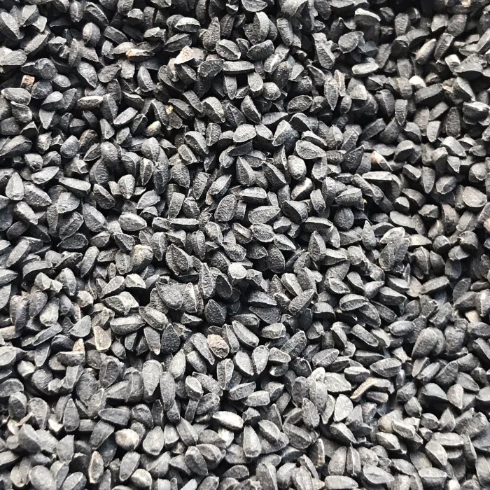 

JINTEN HITAM HABBATUSSAUDA 100 GRAM PRODUK NYATA AMPUHNYA