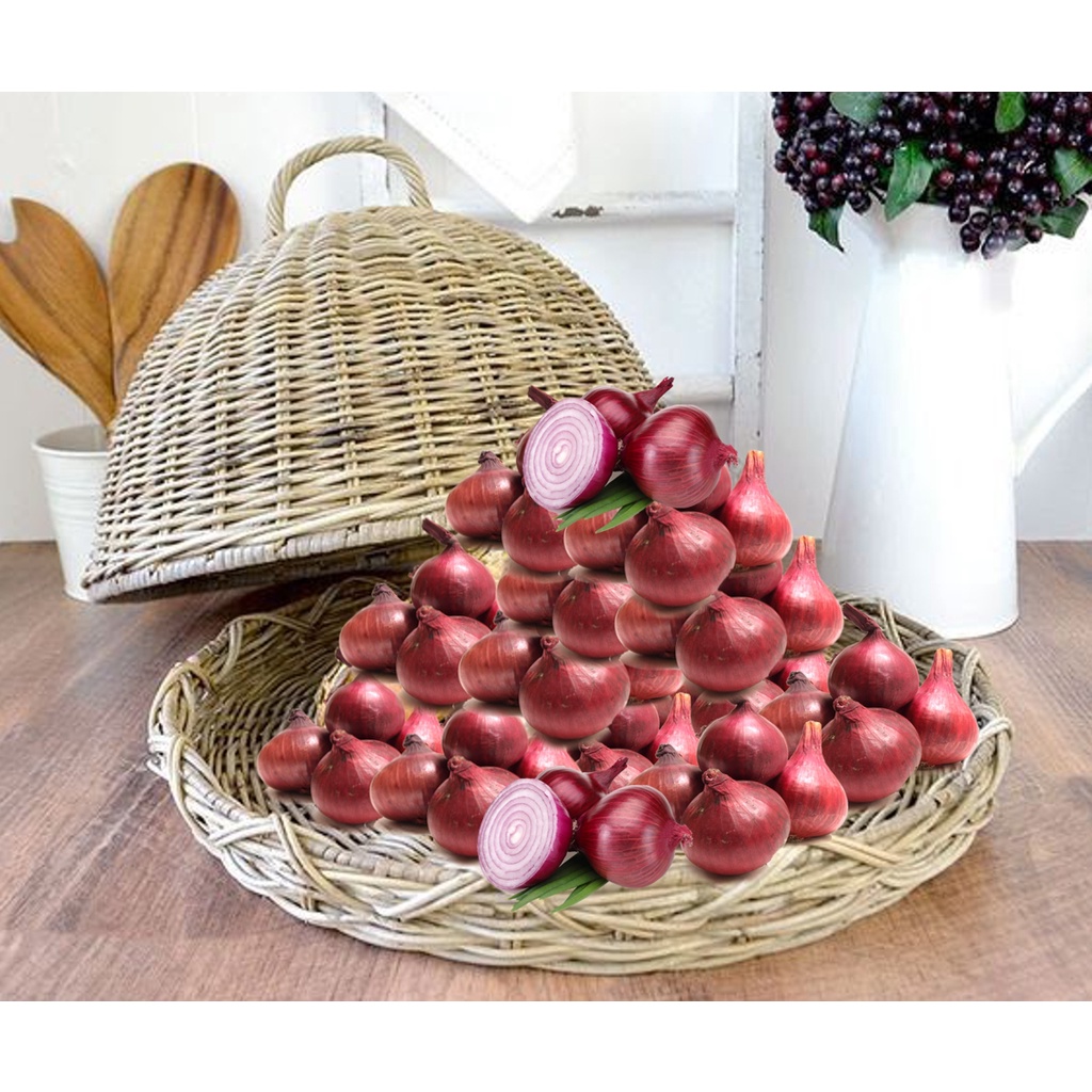 

Bawang Merah Kiloan Bumbu Pelengkap Masakan