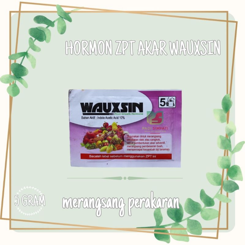 wauxin - zpt akar hormon akar - zat penumbuh akar 5gr