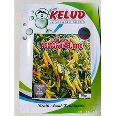 Cabe Rawit Kelud Asmoro