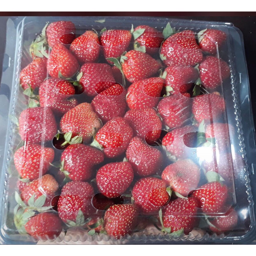 Buah Strawberry Fresh dari Kebun Premium Grade A Kemasan 500 gr (Khusus Gosend)