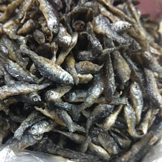 

♂ Ikan bilis akuran keci asli danau singkarat,berat 500 gram ✧
