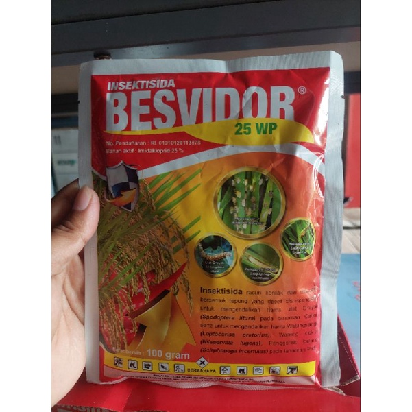 Insektisida Besvidor 25 wp - Besvidor 100 gr