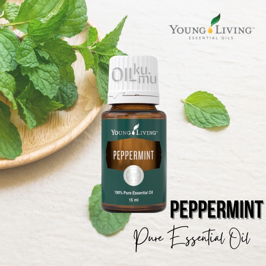 Young Living Essential Oil Peppermint Repack 1ml 2ml 5ml