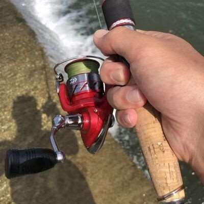 DAIWA MISSION PLUS CS SPINNING REEL DRAG MAX 6 KG RATIO 5.3:1