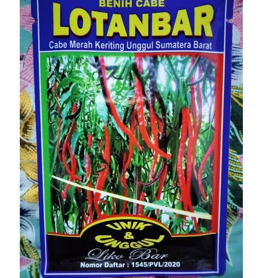 ・ Cabe LOTANBAR 10 Gram- Bibit Cabe LOTANBAR - CMK LOTANBAR - Benih Cabe Merah Keriting LOTANBAR Lol