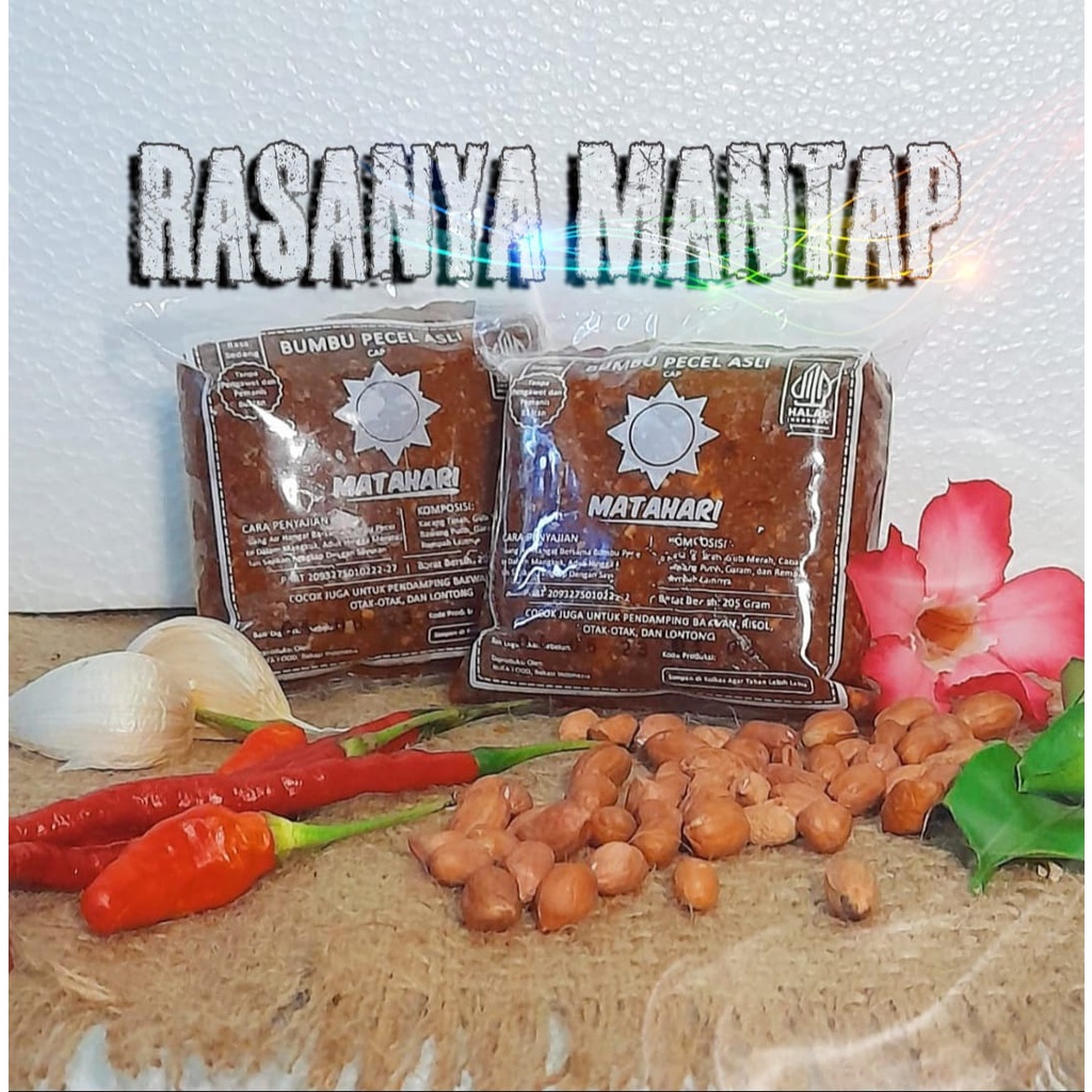 

BUMBU PECEL ASLI CAP MATAHARI (SEDANG) 205 GRAM