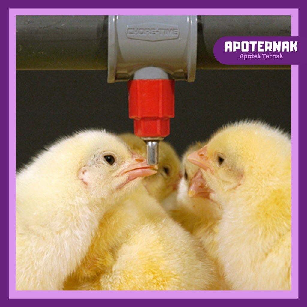 Kapsul Nipel Ayam kecil merah | Kapsul Nipple | Nipple Kapsul | Nipel Kapsul | Nipple Kapsul | G Lock J Lock | Kapsul A9, A5, A3