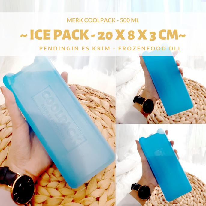 langsung order saja] Box Pendingin Es Cool Pack Kulkas Ice Pack Cool Pack Pengawet Es Cream