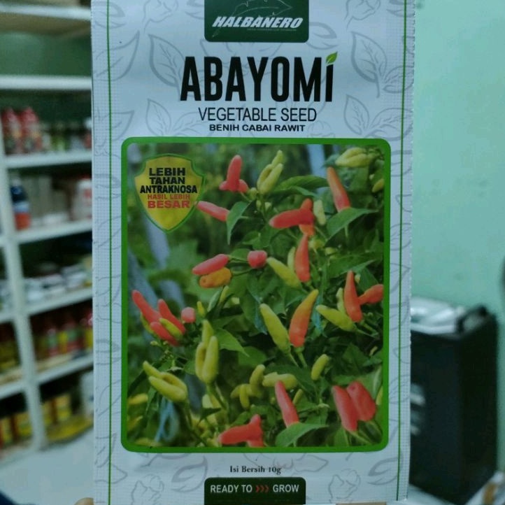 Benih cabai ABAYOMI