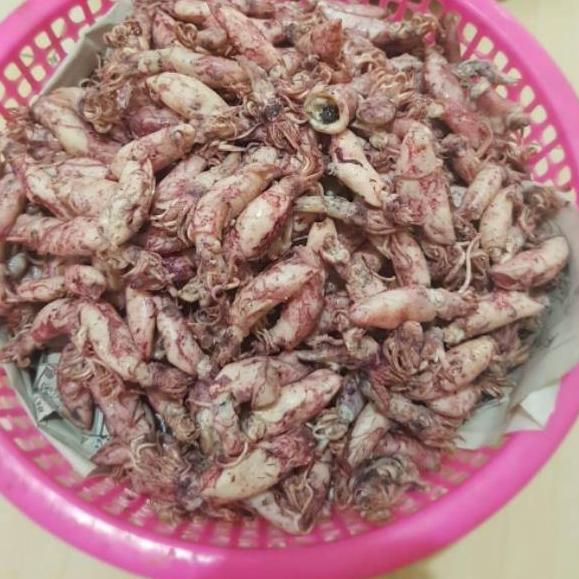 

➢ Cumi asin 1kg ♣