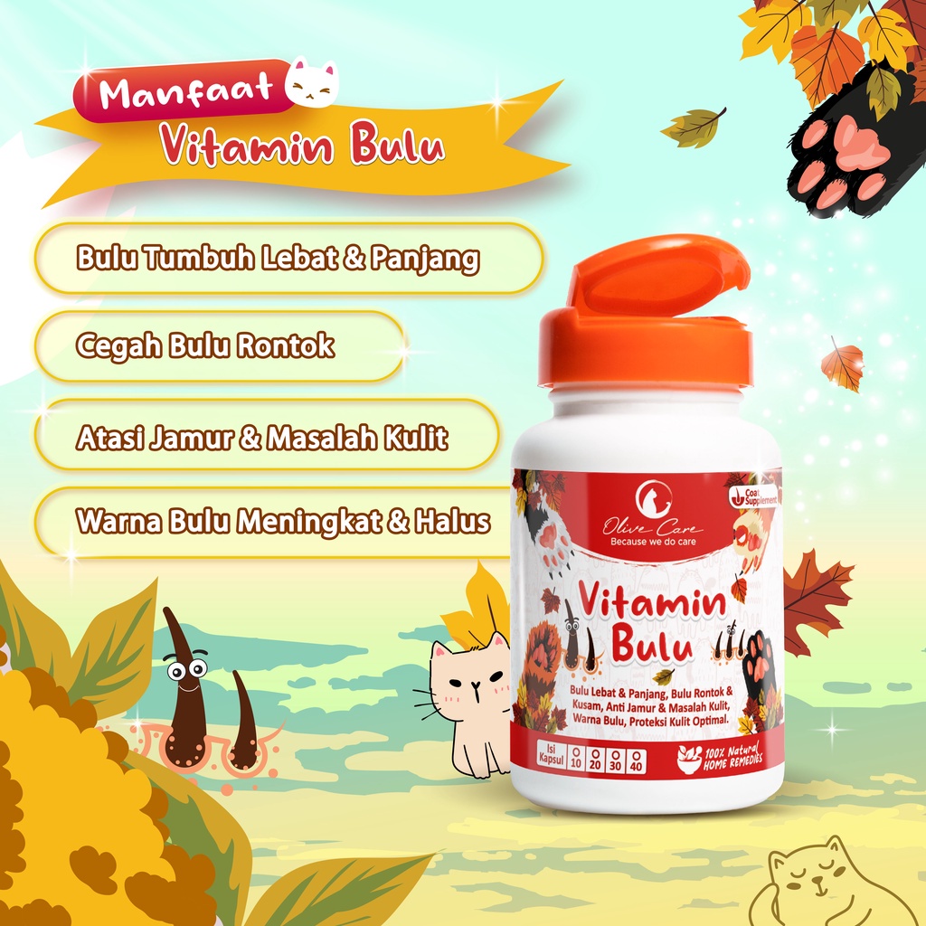 OLIVE CARE Vitamin Kucing BULU untuk Bulu Panjang Lebat, Bulu Halus, Warna Bulu, Cegah Jamur dan Bulu Rontok