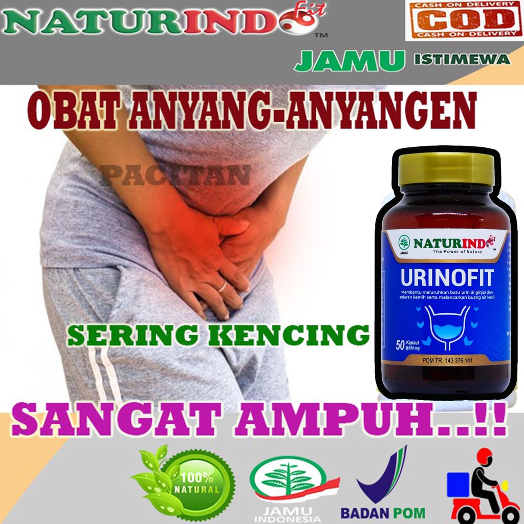 0Obat Herbal Anyang Anyangan Beser Sering Susah Buang Air Kecil Ngopol Terus Menerus Anak Sakit Kenc