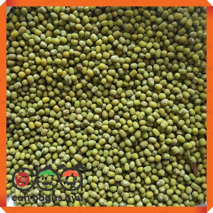 

Kacang Hijau Lokal 250gr 500gr Kacang Ijo Super 1/4kg 1/2kg