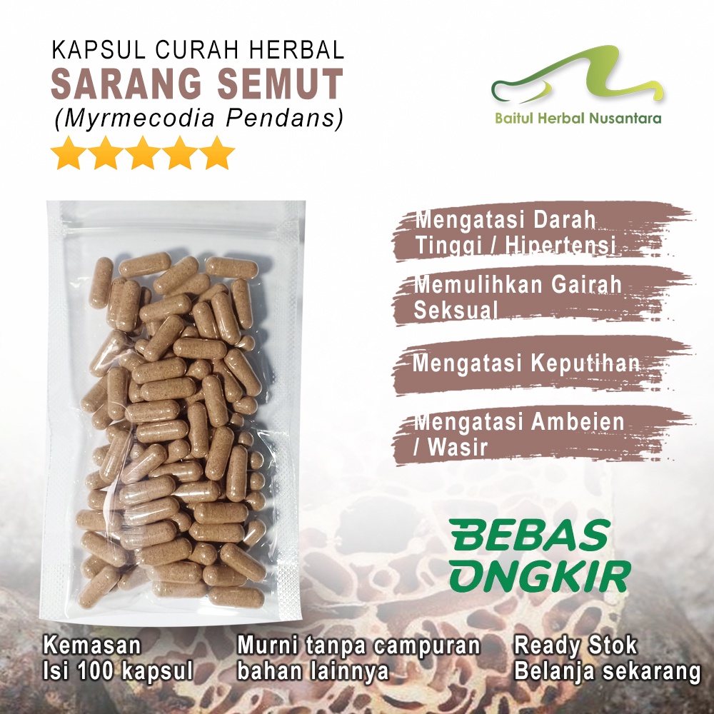 

SARANG SEMUT PAPUA 100 Kapsul Herbal Liver Asma Li bido Katarak Ambeien