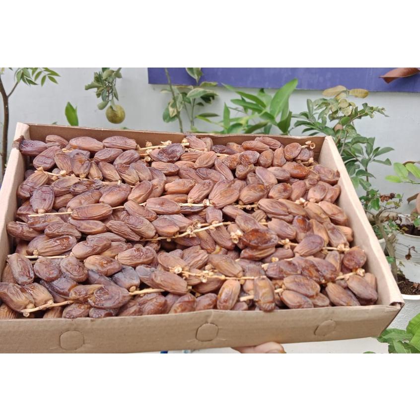 

KURMA TUNISIA TANGKAI 5KG Kualitas Terbaik