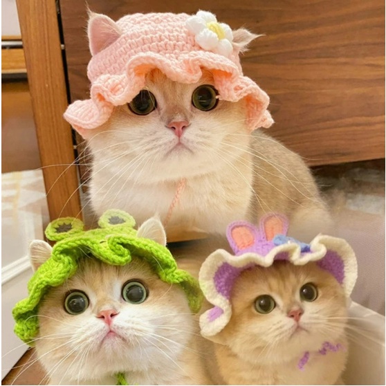 READY STOCK Topi Kucing Rajut Topi Hewan Topi Kelinci Rajut Kalung Kucing Rajut Kalung Rajut Topi Mo